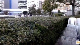 欧美ab类功放_欧美亚洲精品成人视频